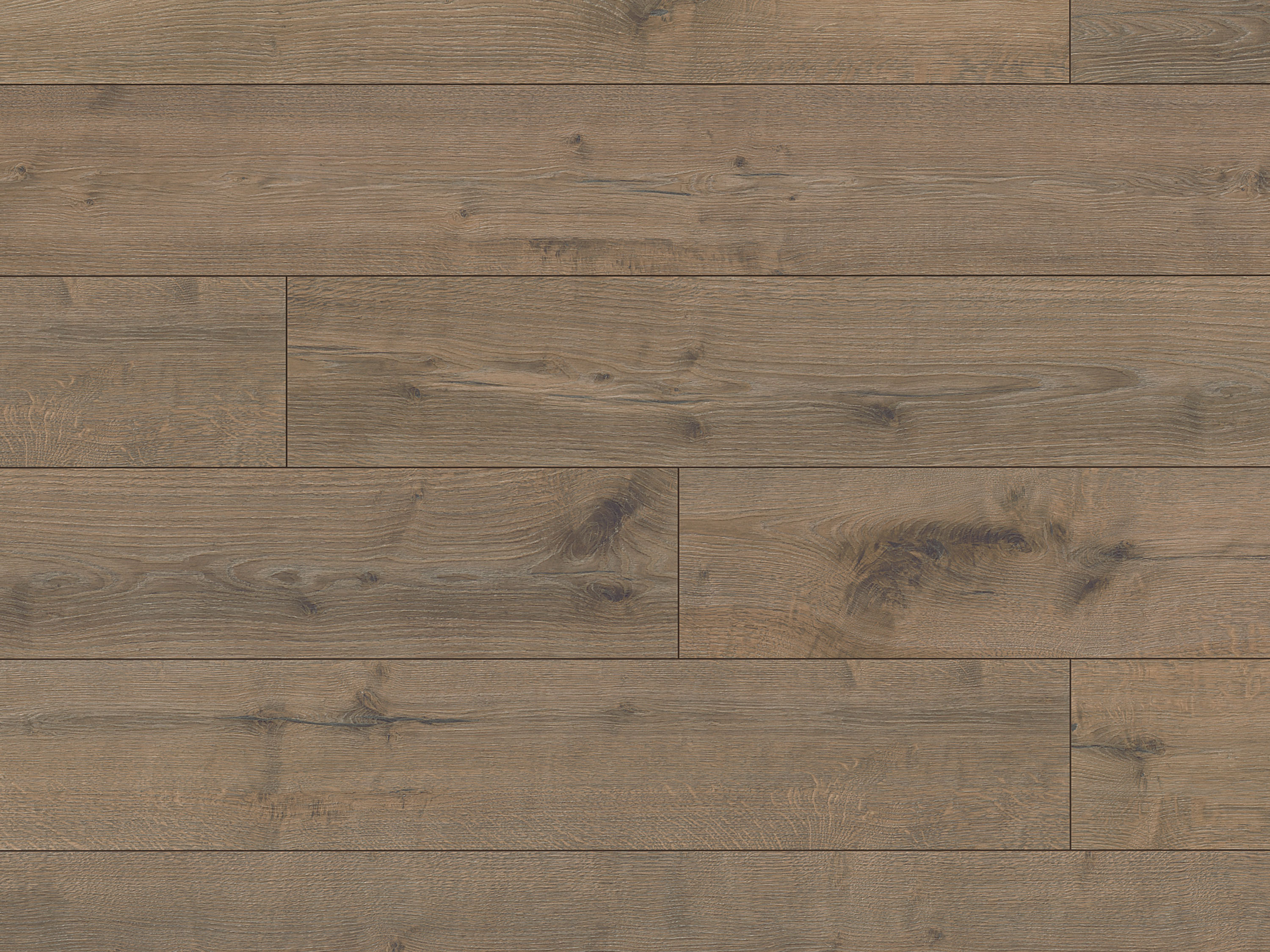 Hare Tegernsee Oak K664 Laminat Langdiele mit Fase Altitude 12 - mit MO.RE KronoOriginal® Hare Tegernsee Oak K664 Laminat Langdiele mit Fase Altitude 12 - mit MO.RE KronoOriginal®