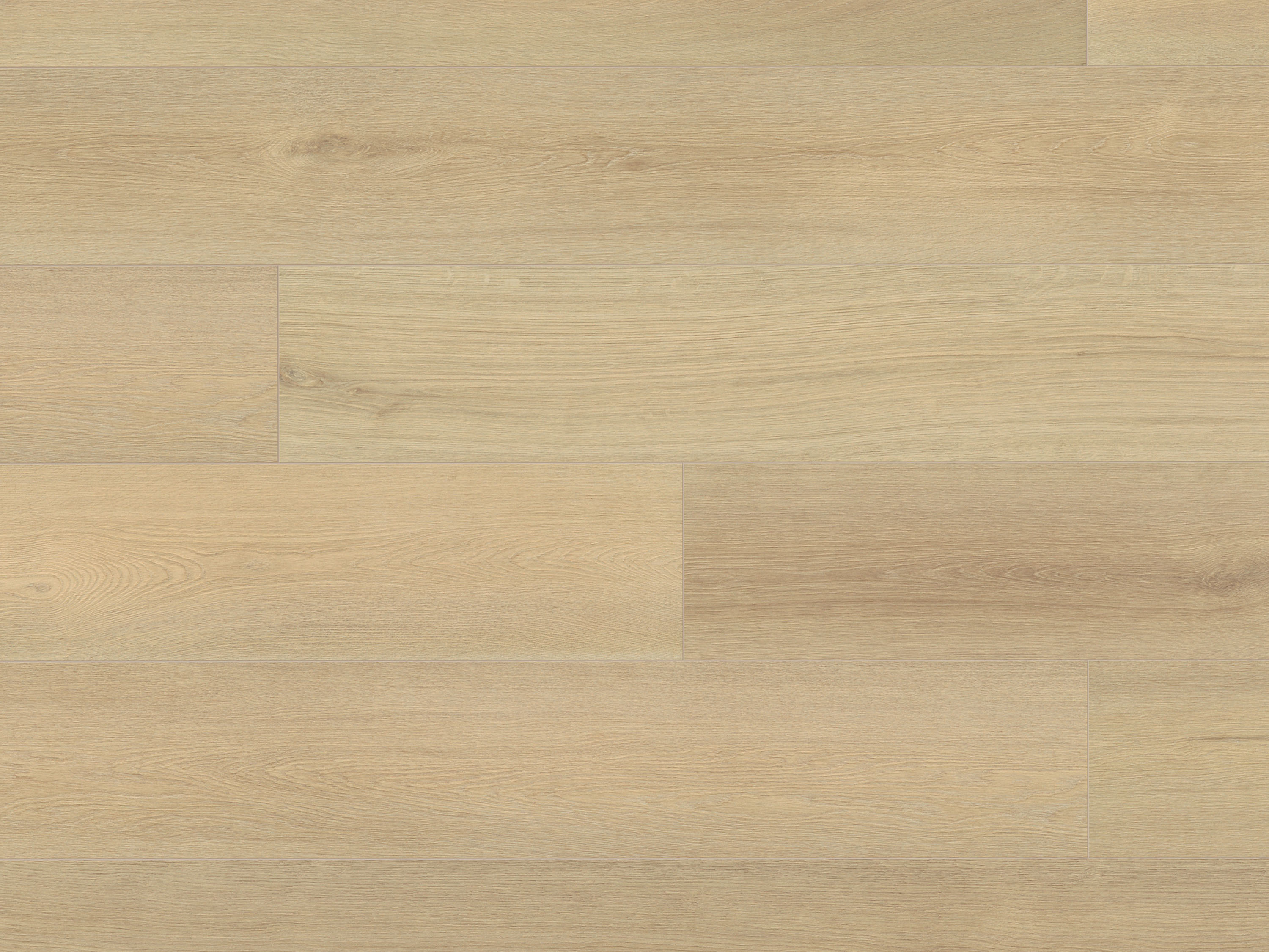 Blonde Montreux Oak K659 Laminat Langdiele mit Fase Altitude 12 - mit MO.RE KronoOriginal® Blonde Montreux Oak K659 Laminat Langdiele mit Fase Altitude 12 - mit MO.RE KronoOriginal®