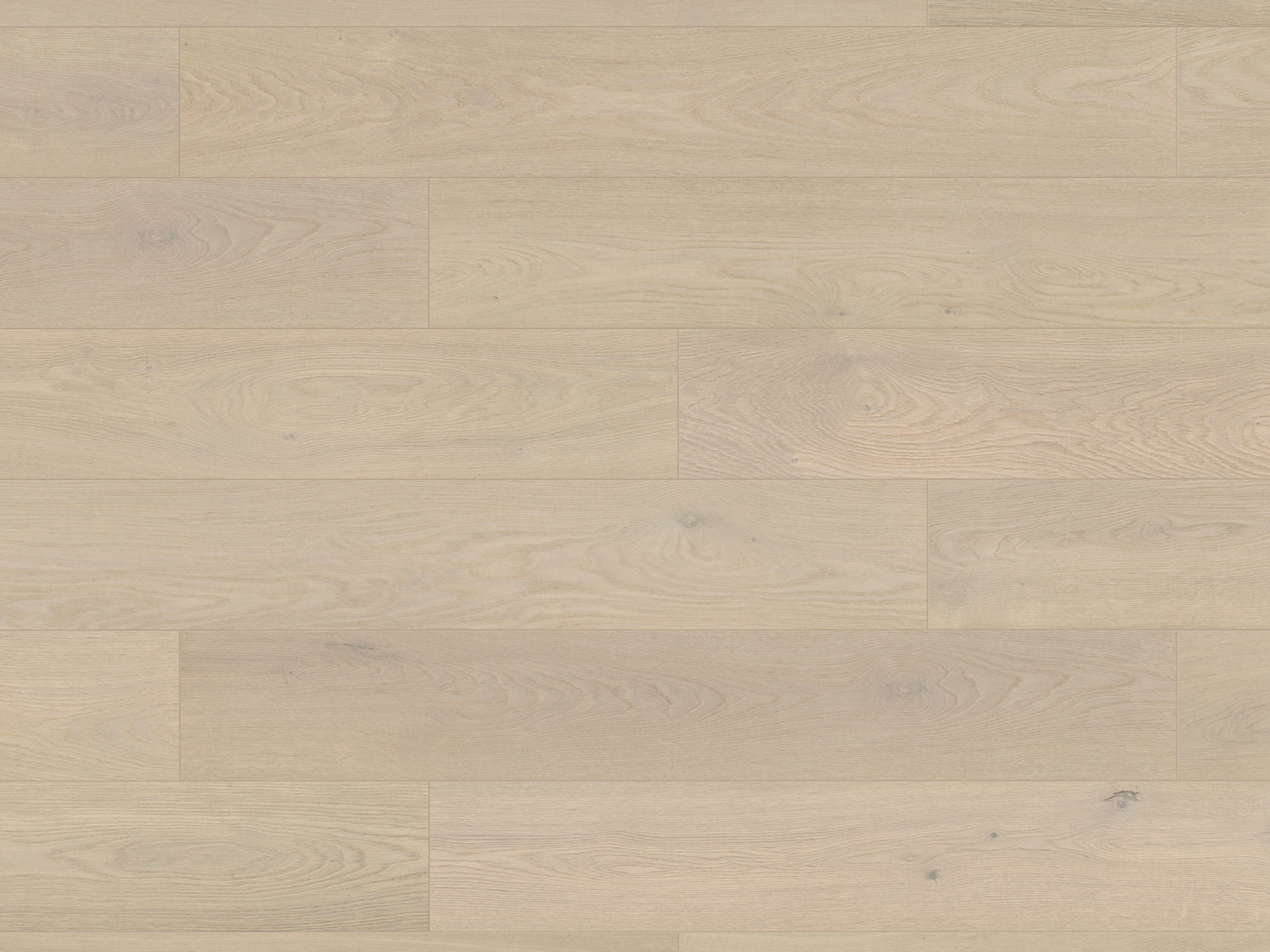 Rope Etheral Oak K669 Landhausdiele Laminat mit Fase Atlantic 10 - mit MO.RE KronoOriginal Rope Etheral Oak K669 Landhausdiele Laminat mit Fase Atlantic 10 - mit MO.RE KronoOriginal