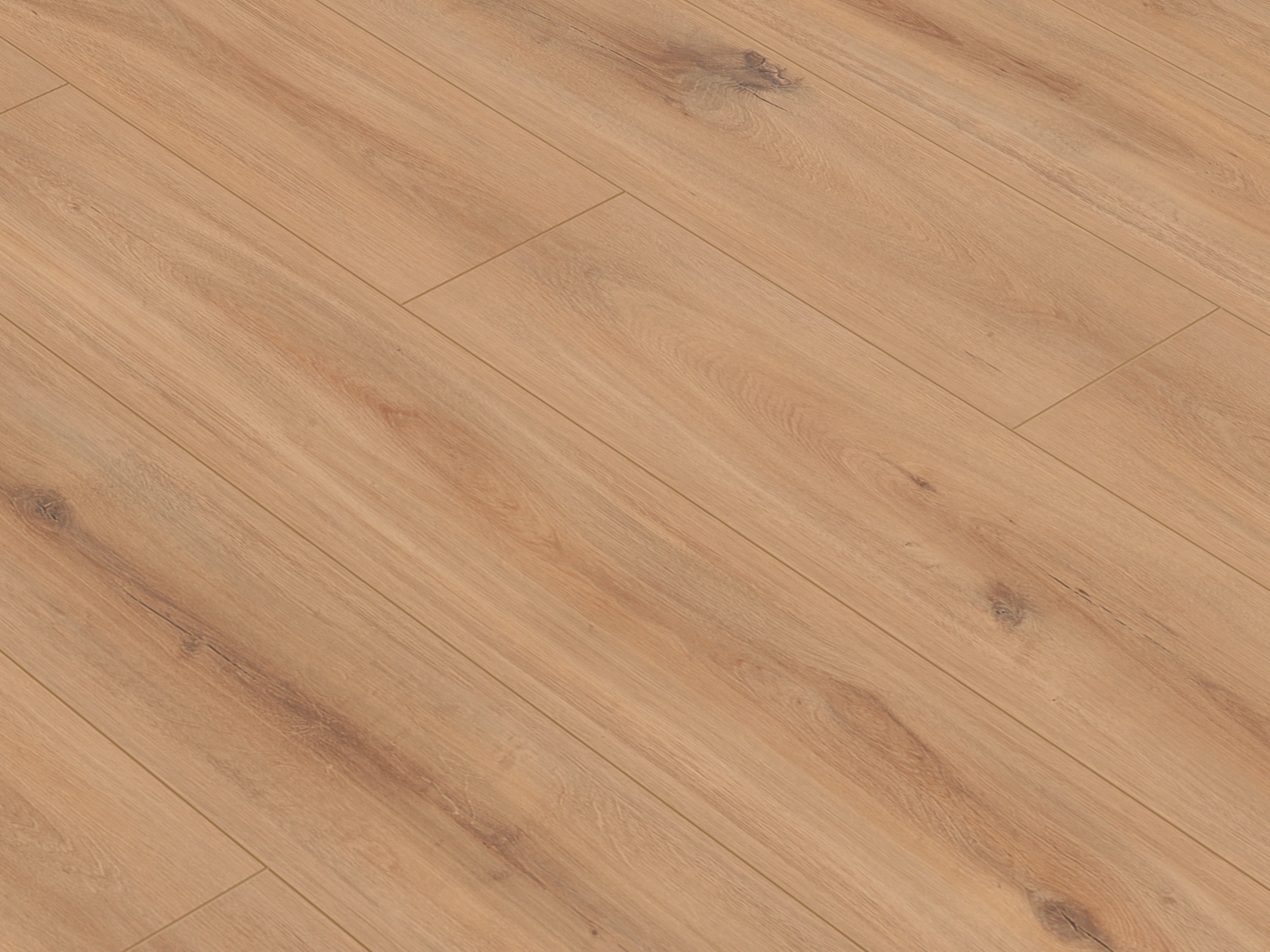 Klick-Designboden Golden Vista Oak K230 Organic Classic 8 mm, mit O.R.C.A Technologie Klick-Designboden Golden Vista Oak K230 Organic Classic 8 mm, mit O.R.C.A Technologie