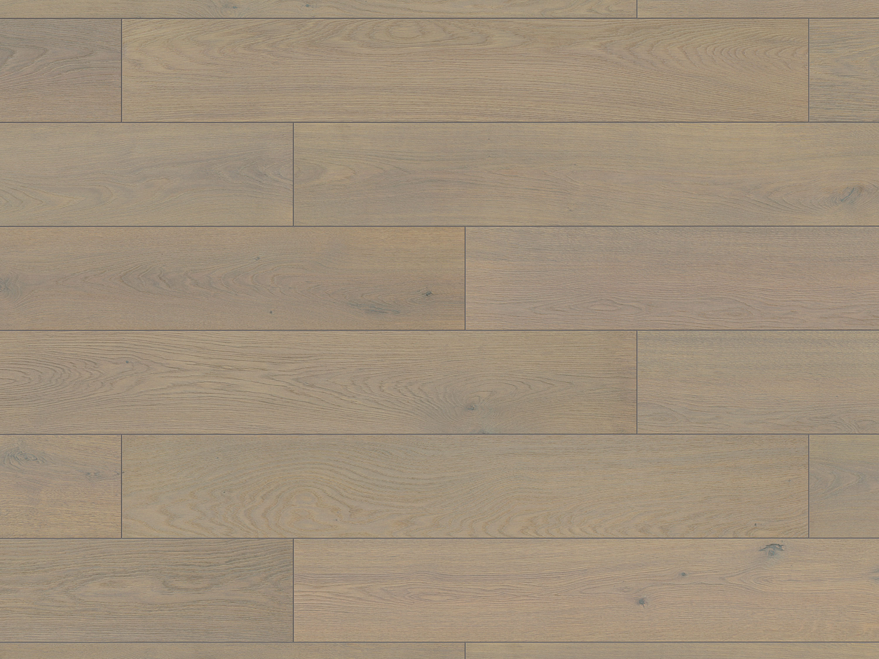 Copper Ethereal Oak K665 Landhausdiele Laminat mit Fase Atlantic 10 - mit MO.RE KronoOriginal Copper Ethereal Oak K665 Landhausdiele Laminat mit Fase Atlantic 10 - mit MO.RE KronoOriginal