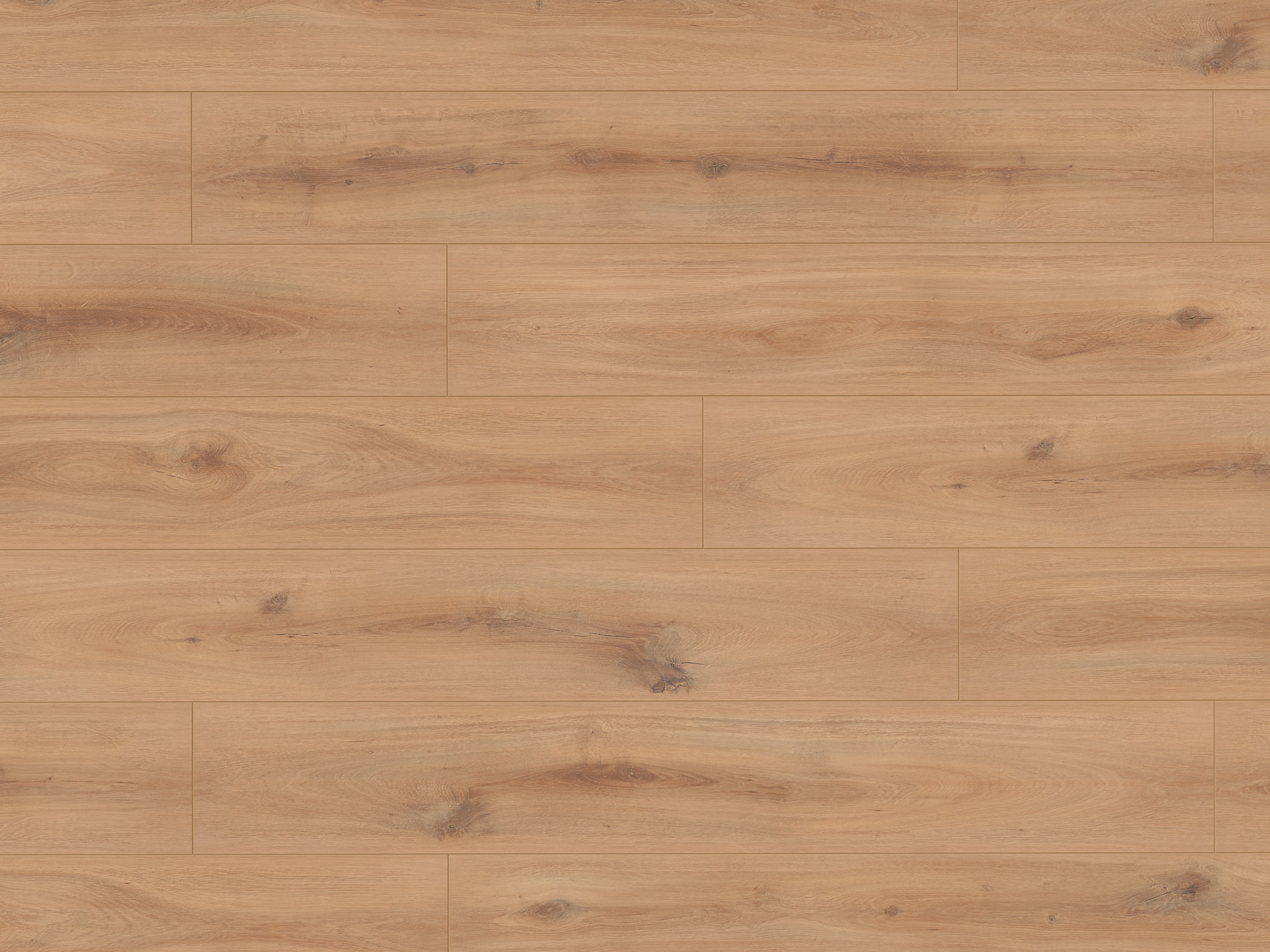 Klick-Designboden Golden Vista Oak K230 Organic Classic 8 mm, mit O.R.C.A Technologie Klick-Designboden Golden Vista Oak K230 Organic Classic 8 mm, mit O.R.C.A Technologie