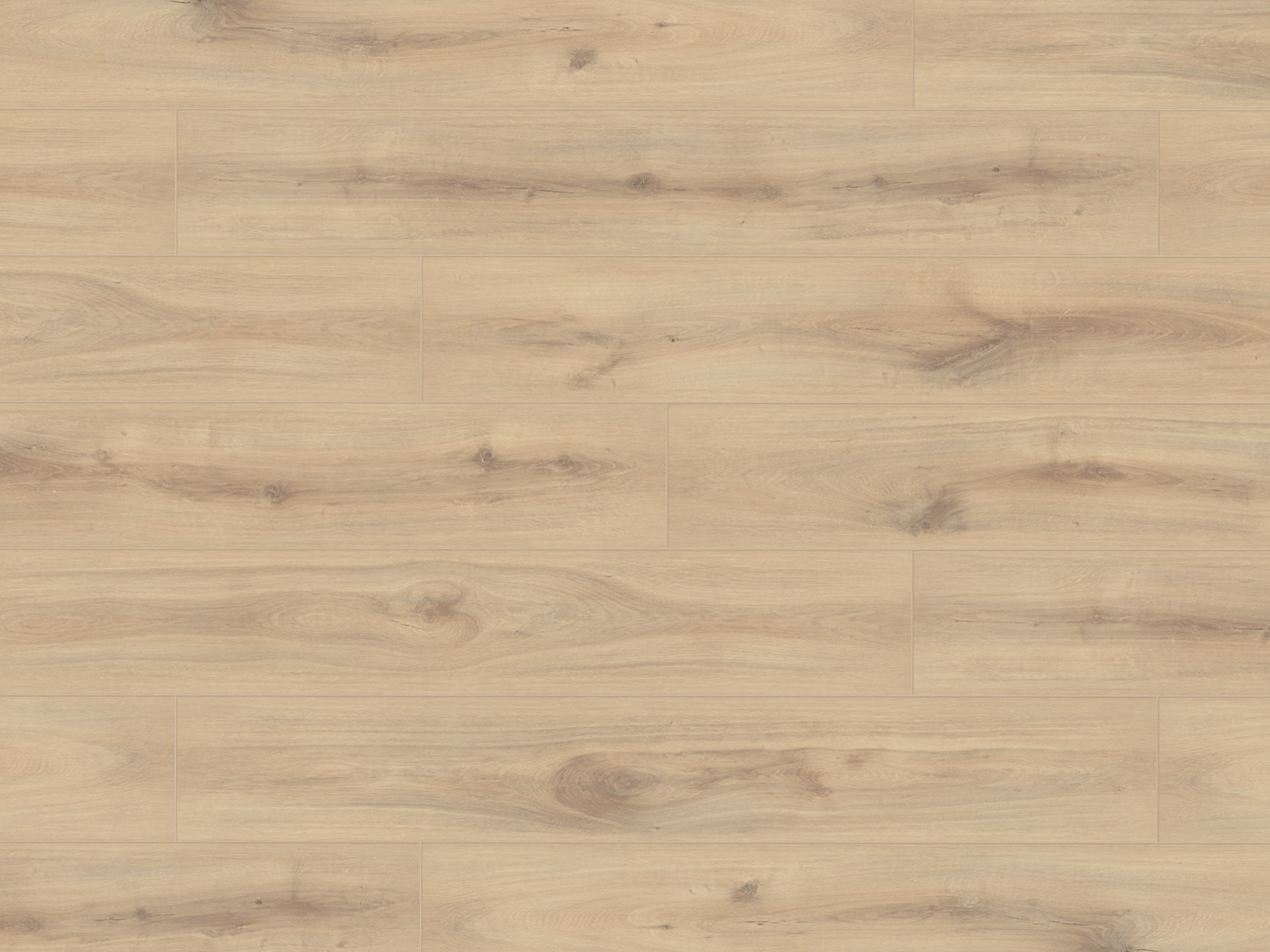 Laminatboden KronoOriginal® Super Natural WIDE - Organic Oak K063 - 8 mm Stark - Breitdiele Laminatboden KronoOriginal® Super Natural WIDE - Organic Oak K063 - 8 mm Stark - Breitdiele