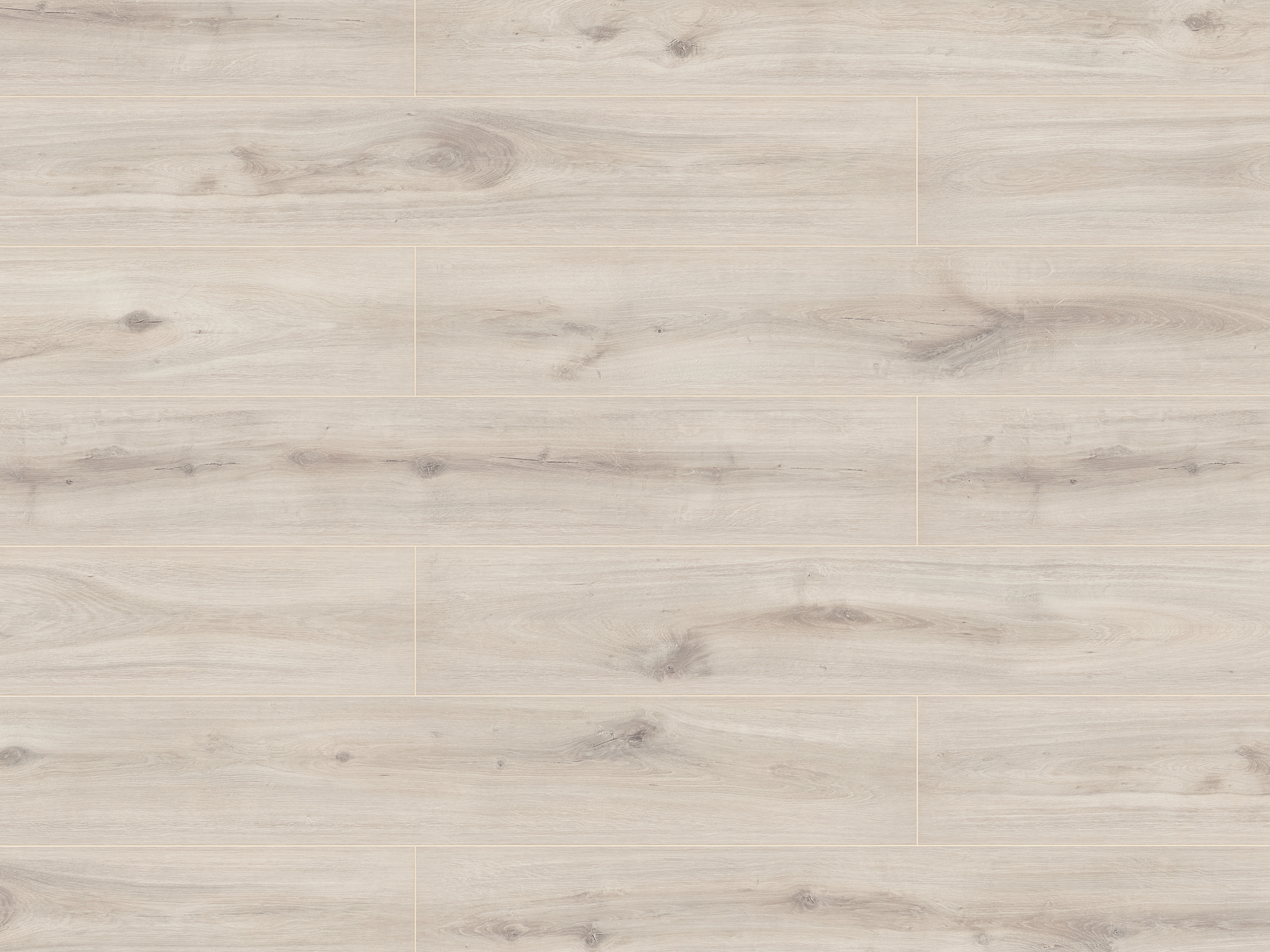 Misty Plains Oak K231 Organic Classic 8 mm mit O.R.C.A Technologie KronoOriginal®