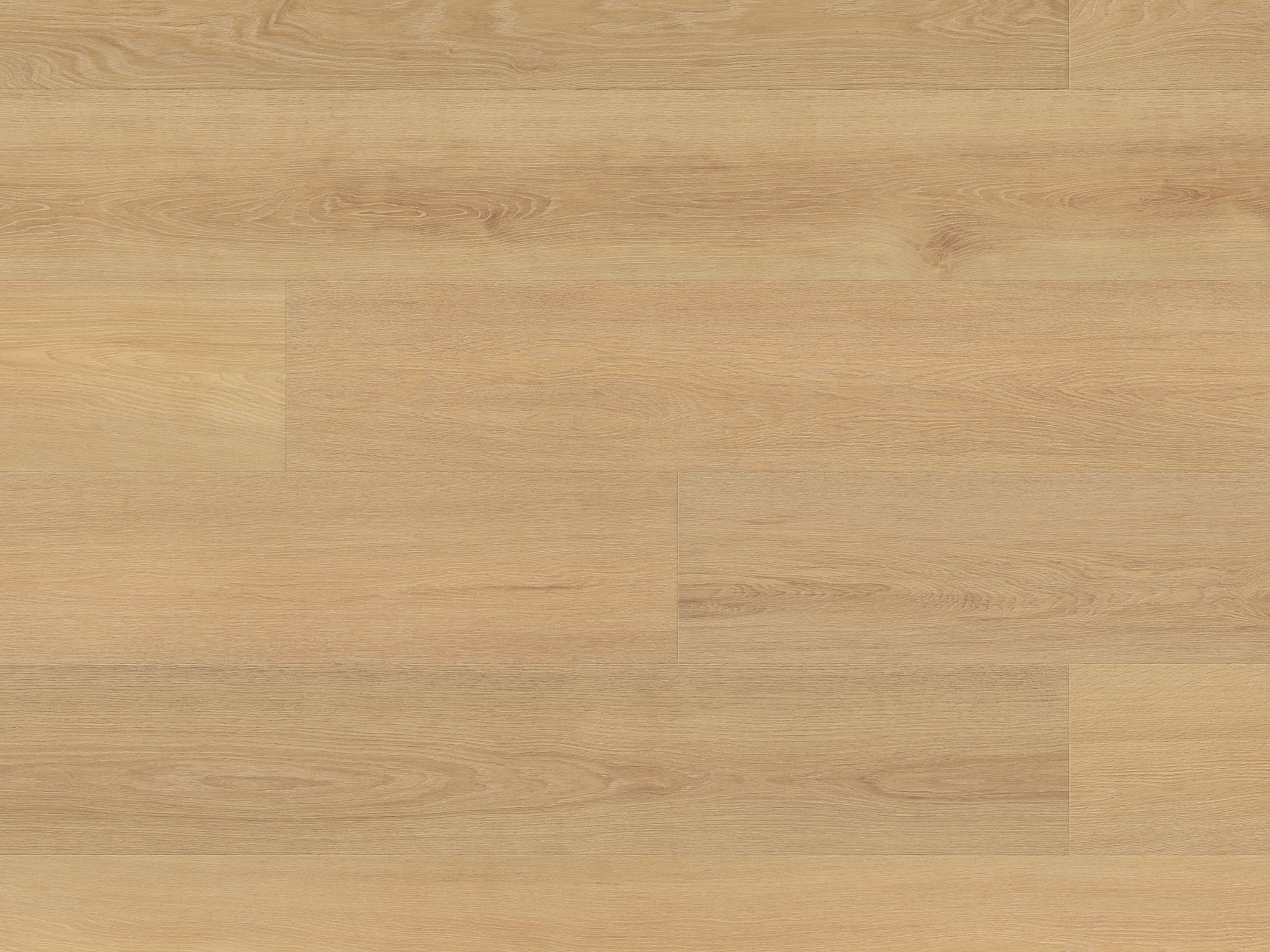 Honey Montreux Oak K657 Laminat Langdiele mit Fase Altitude 12 - mit MO.RE KronoOriginal® Honey Montreux Oak K657 Laminat Langdiele mit Fase Altitude 12 - mit MO.RE KronoOriginal®
