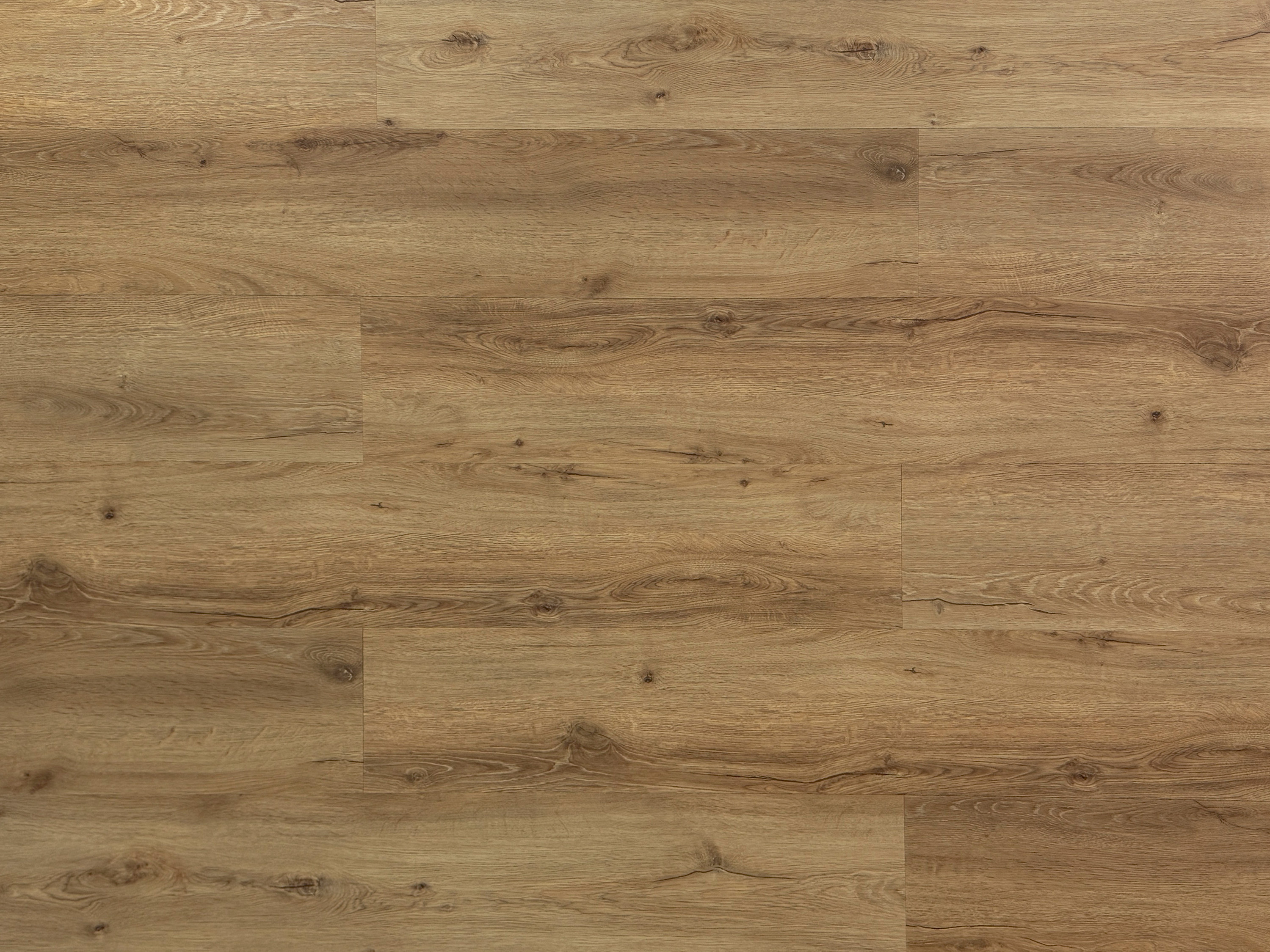 TRECOR® Dryback Klebe Vinylboden Eiche Classic Hell Landhausdiele - 2,5 mm stark