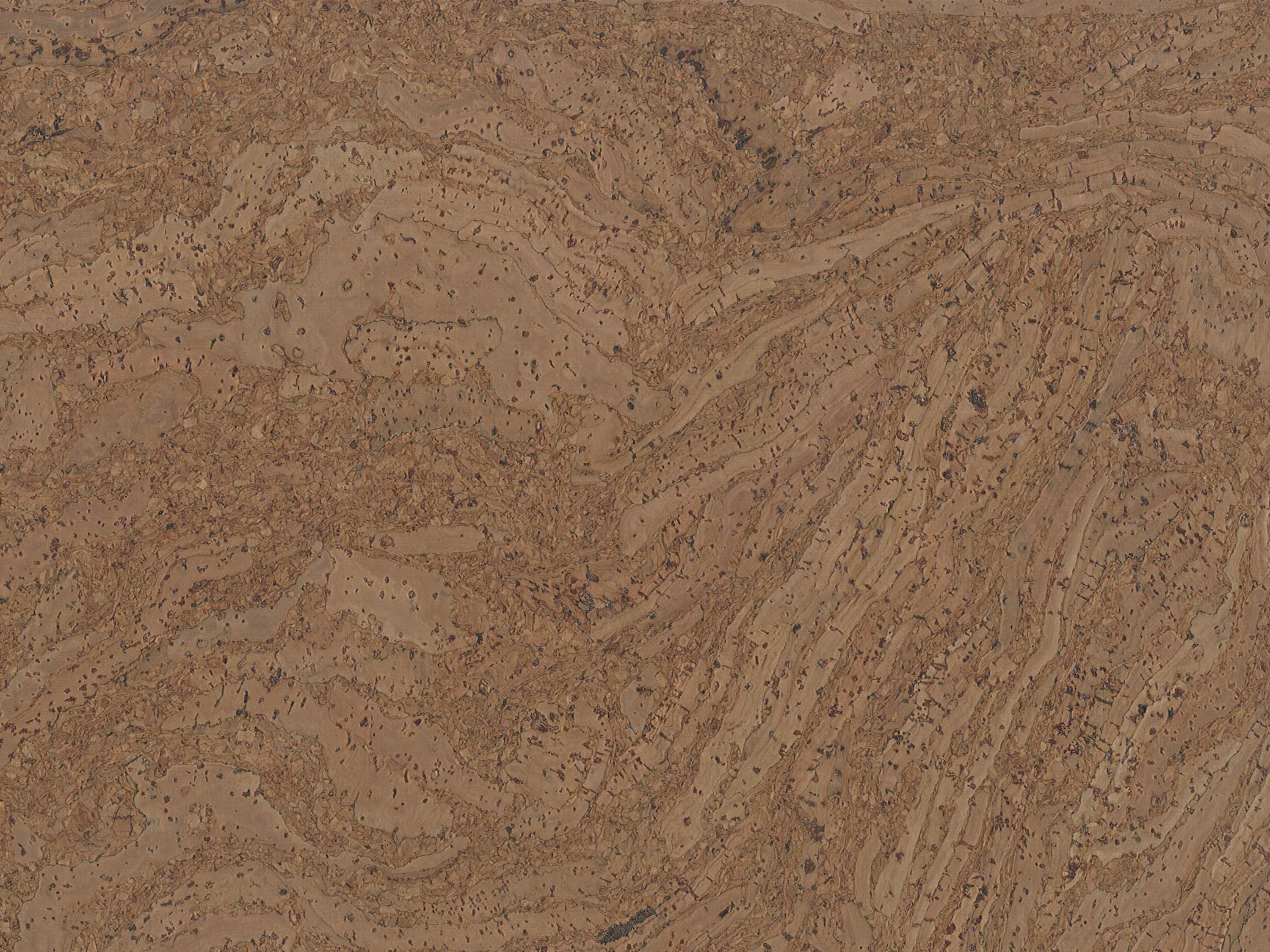 TRECOR® Klick Korkboden Stilo - 10 mm Stark - Farbe: Hellgrau TRECOR® Klick Korkboden Stilo - 10 mm Stark - Farbe: Hellgrau