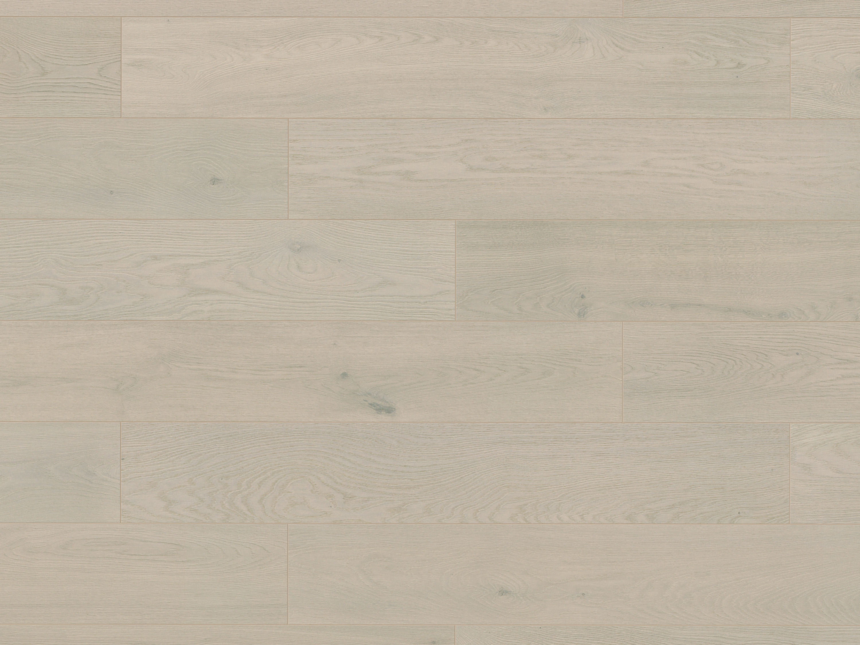 Mist Ethereal Oak K668 Landhausdiele Laminat mit Fase Atlantic 10 - mit MO.RE KronoOriginal Mist Ethereal Oak K668 Landhausdiele Laminat mit Fase Atlantic 10 - mit MO.RE KronoOriginal