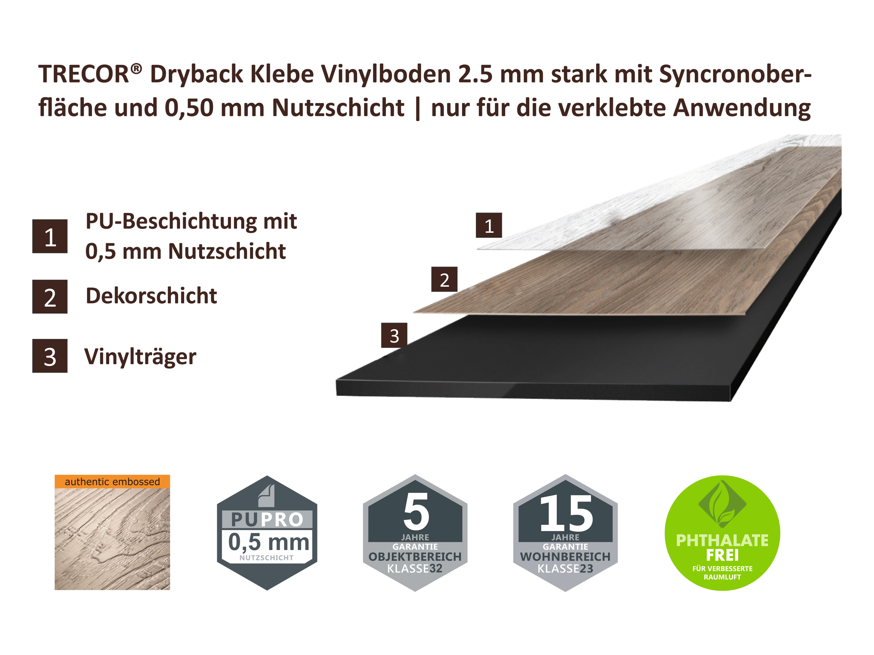 Vinyl-2.0-Aufbau-3000x2250.webp?ts=1722930484