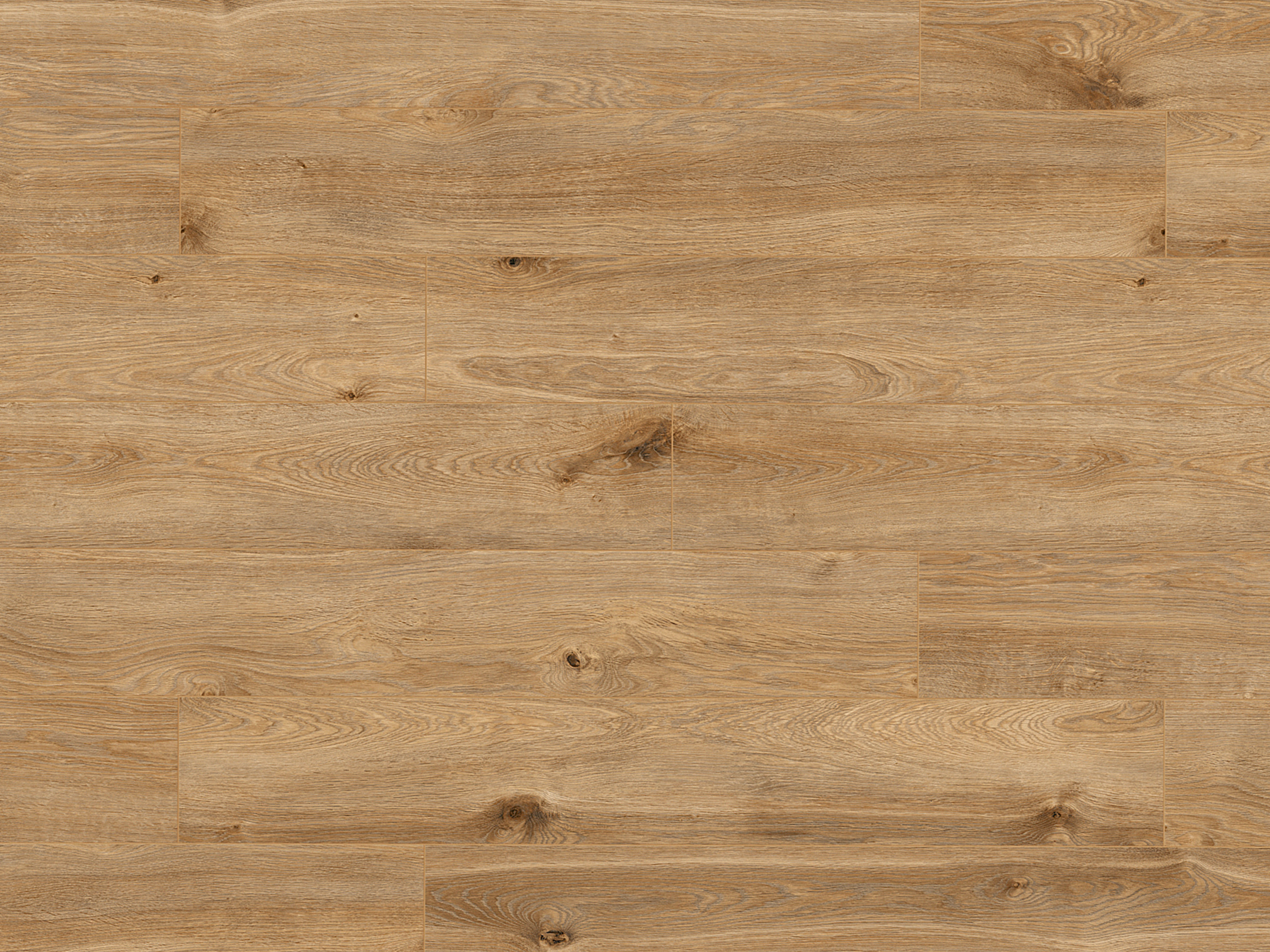 Klick-Designboden Solar Oak K405 Organic Classic 8 mm, mit O.R.C.A Technologie Klick-Designboden Solar Oak K405 Organic Classic 8 mm, mit O.R.C.A Technologie