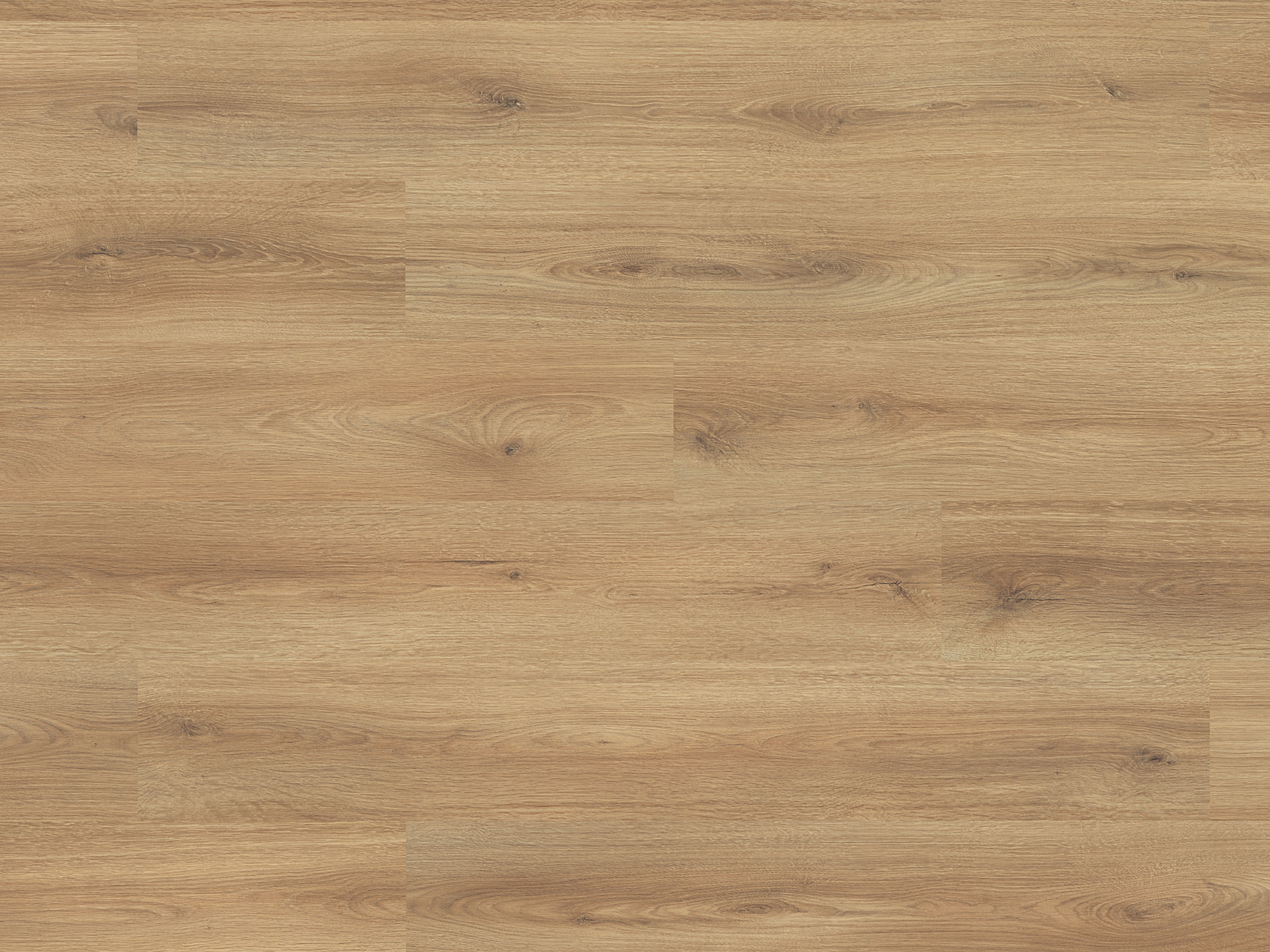 Laminatboden Classic Sand Cantal Oak K654 mit Klicksystem 7 mm Stark Laminatboden Classic Sand Cantal Oak K654 mit Klicksystem 7 mm Stark