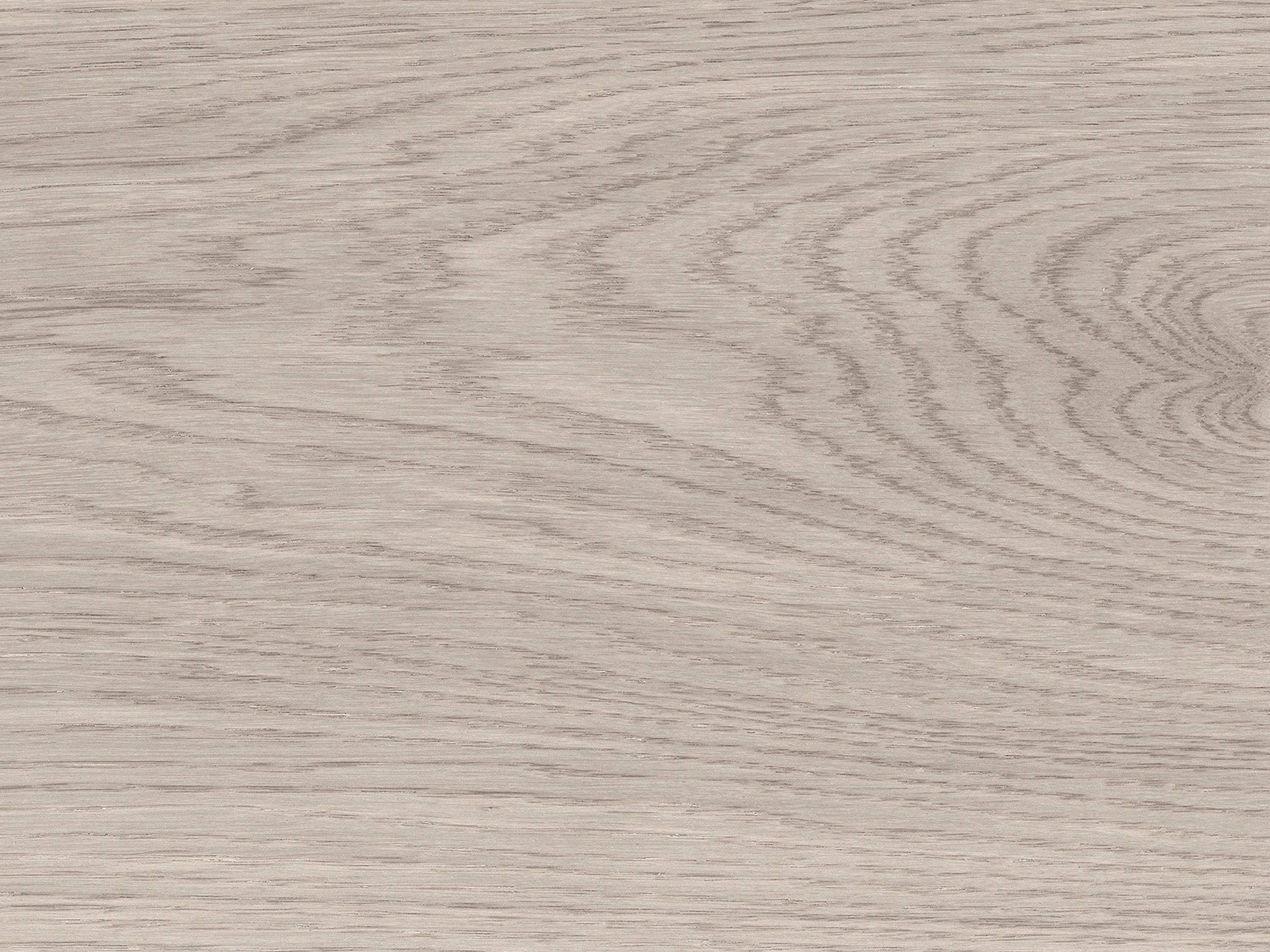 Kork Designboden Wood Basic - Pure Oak Grey, digitalbedrucktes Korkfurnier