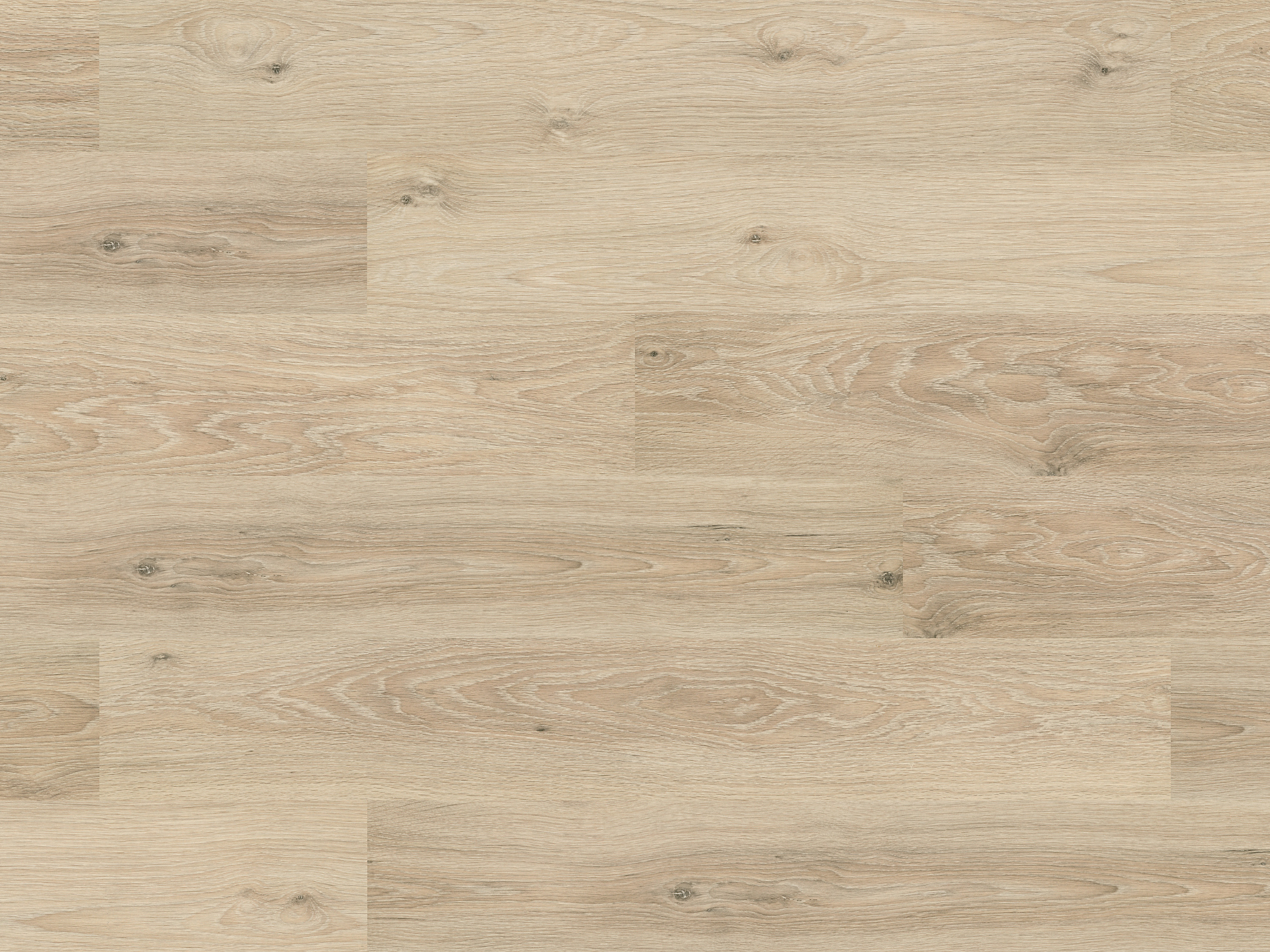 Laminatboden Classic Toast Pistachio Oak K628 mit Klicksystem 7 mm Stark Laminatboden Classic Toast Pistachio Oak K628 mit Klicksystem 7 mm Stark