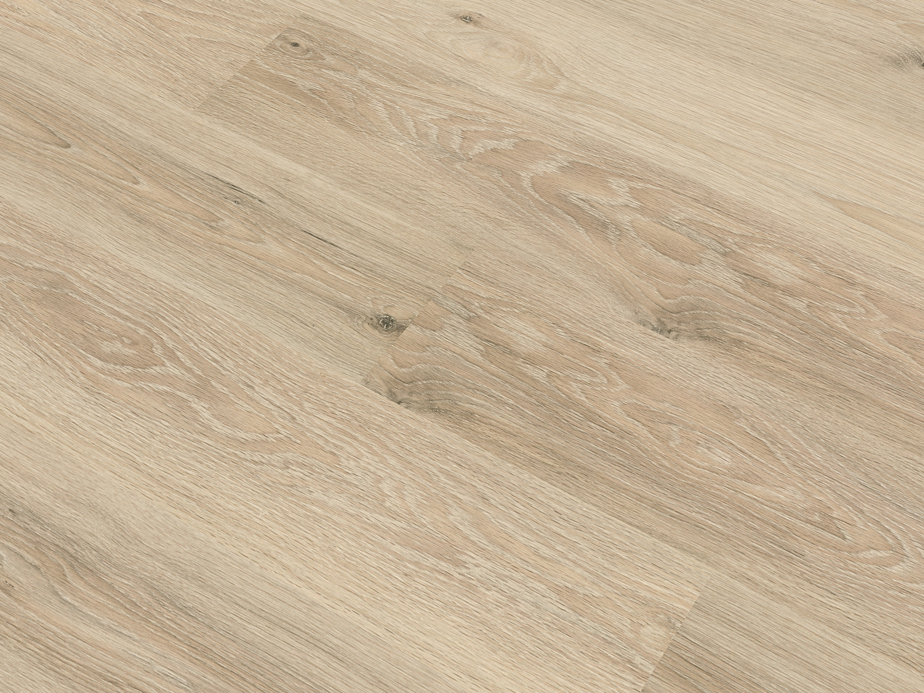 Laminatboden Classic Toast Pistachio Oak K628 mit Klicksystem 7 mm Stark Laminatboden Classic Toast Pistachio Oak K628 mit Klicksystem 7 mm Stark