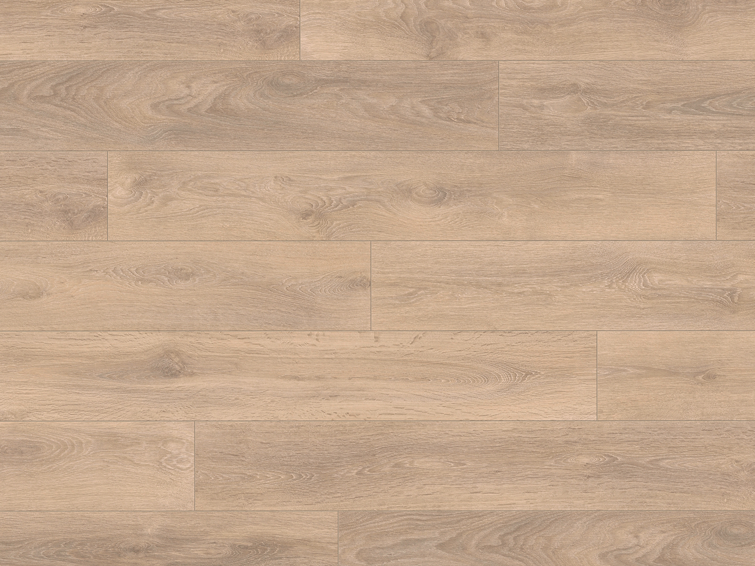 Laminatboden Blonde Oak 8575 (LP) Super Natural Classic by KronoOriginal, Stärke: 8 mm Laminatboden Blonde Oak 8575 (LP) Super Natural Classic by KronoOriginal, Stärke: 8 mm