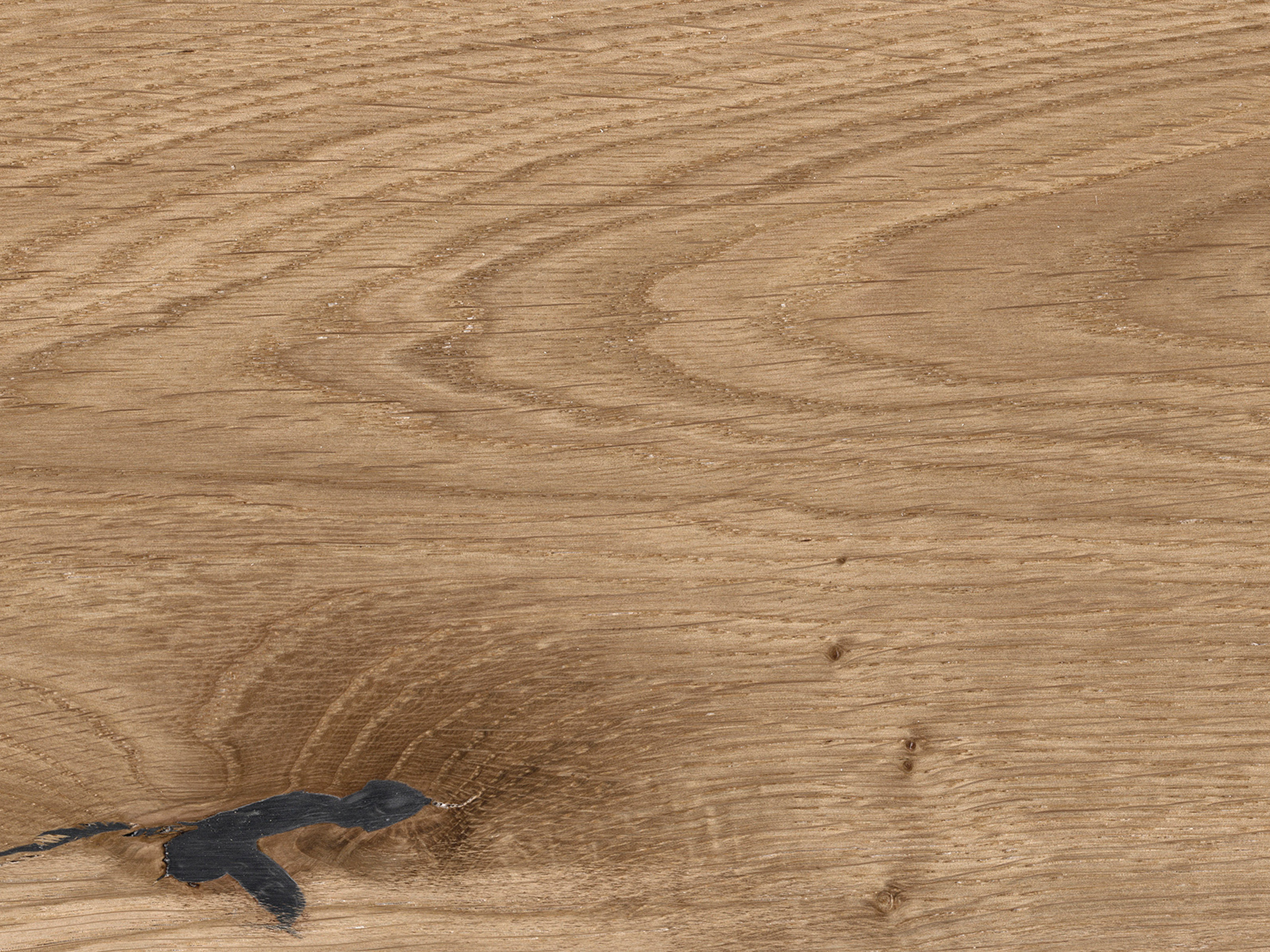 Kork Designboden Wood Basic - Panama Oak, digitalbedrucktes Korkfurnier