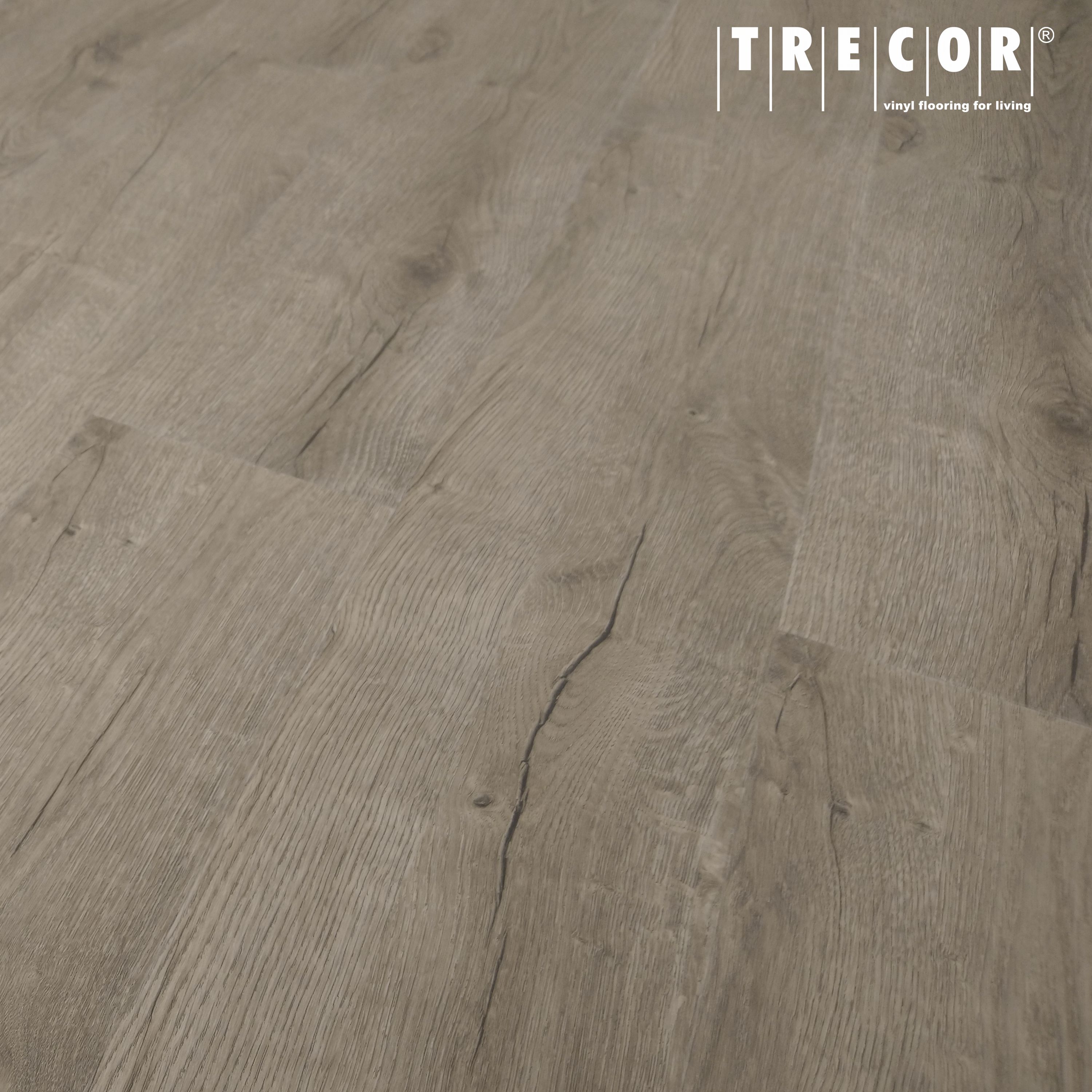 Tepcor® Vinylboden zum klicken |Zement grau NZ 0,55 27,50 €//m²
